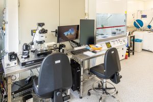 Transfer station for 2D materials transfer and heterostack devices preparation