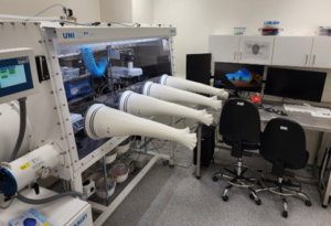 Inert Atmosphere Transfer Station for 2D Materials Transfer and Heterostack Devices Preparation